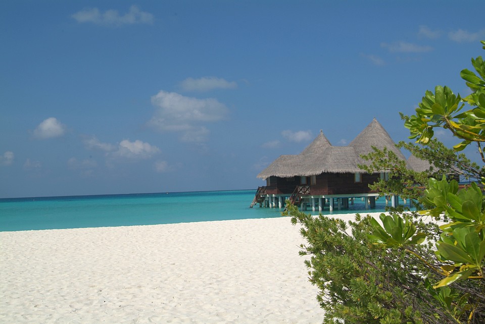 Coco Palm Dhuni Kolhu Maldives